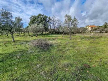 Terreno para Venda em Castelo Branco