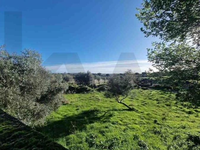 Terreno para Venda em Castelo Branco Foto 8