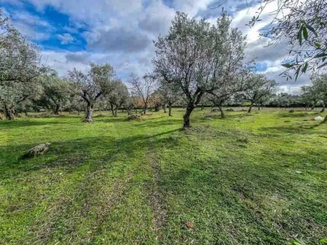 Terreno para Venda em Castelo Branco Foto 22
