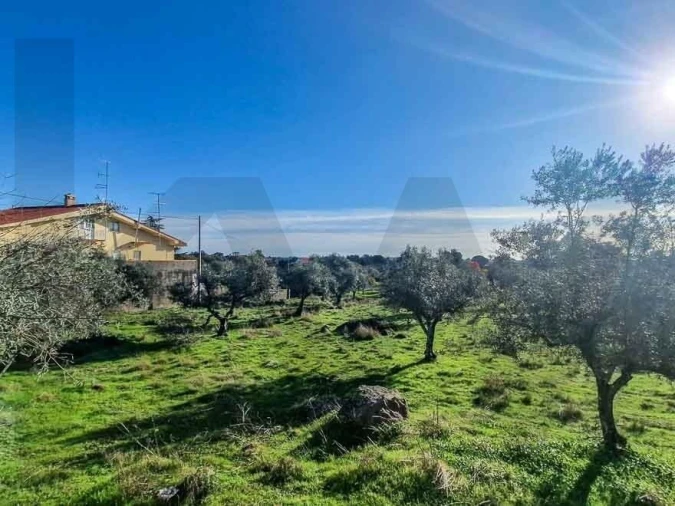 Terreno para Venda em Castelo Branco Foto 15