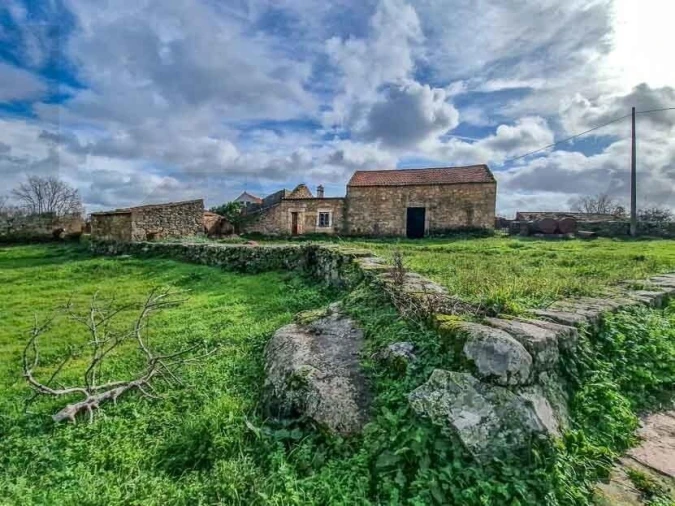 Terreno para Venda em Castelo Branco Foto 2