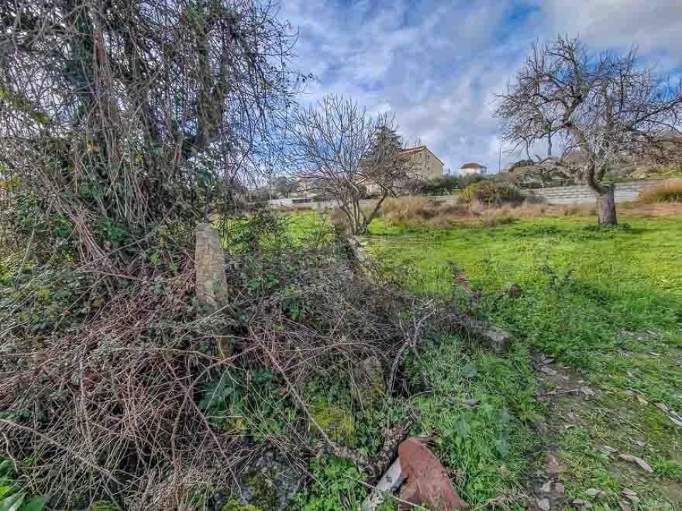 Terreno para Venda em Castelo Branco Foto 33