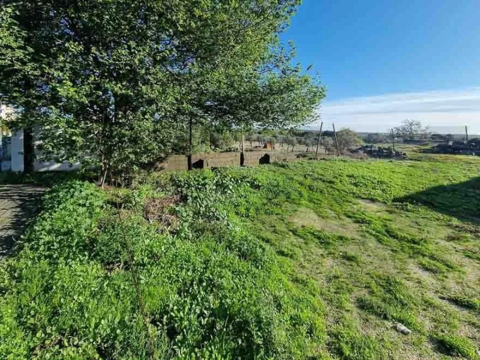 Terreno para Venda em Castelo Branco Foto 7