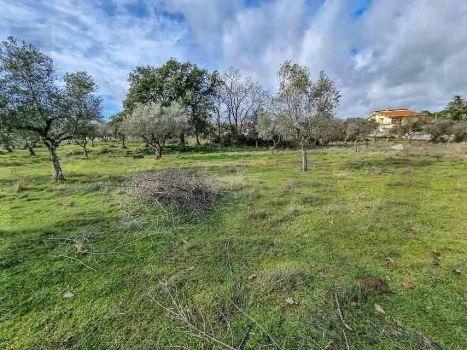 Terreno para Venda em Castelo Branco Foto 26