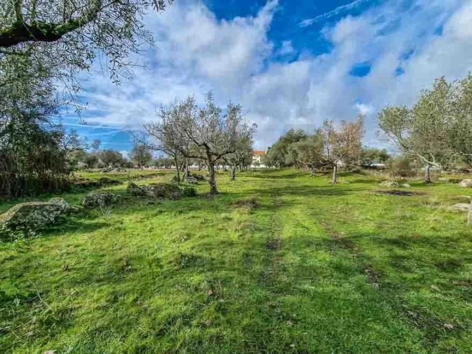 Terreno para Venda em Castelo Branco Foto 25