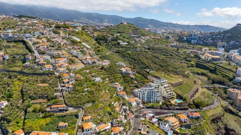 Terreno para Venda em São Martinho