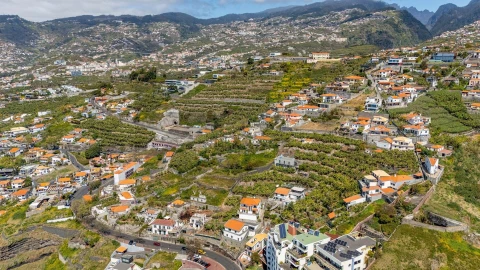 Terreno para Venda em São Martinho
