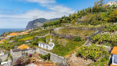 Terreno para Venda em São Martinho