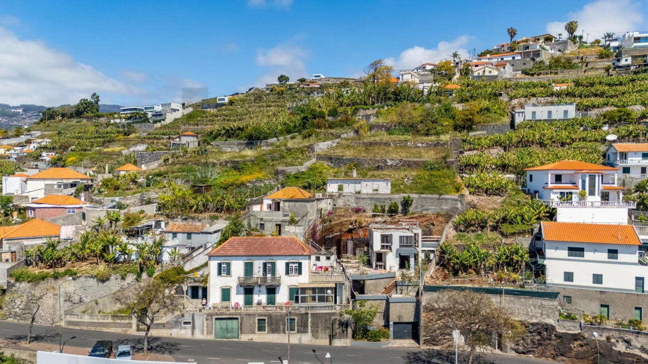 Terreno para Venda em São Martinho Foto 12