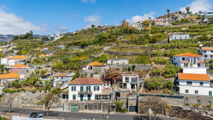 Terreno para Venda em São Martinho Foto 12