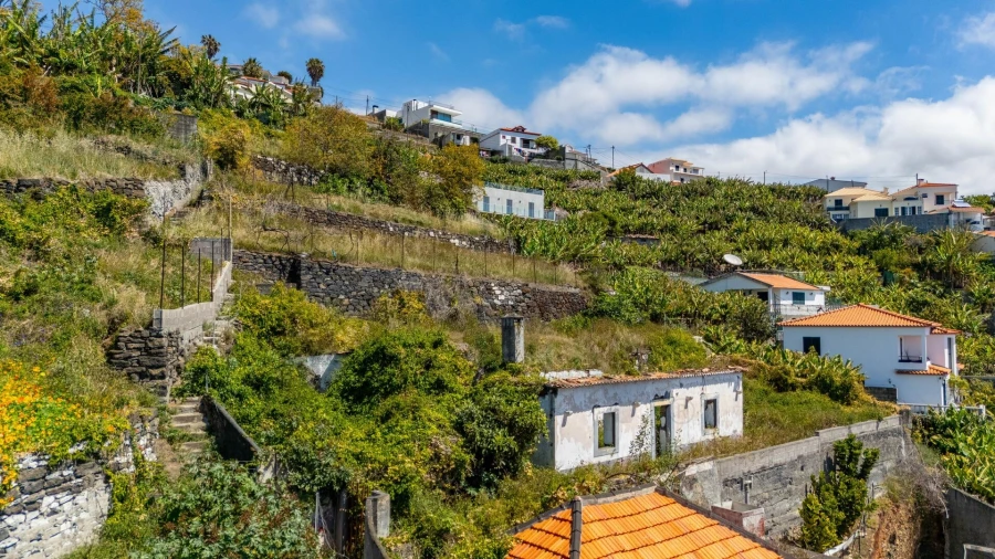 Terreno para Venda em São Martinho Foto 18