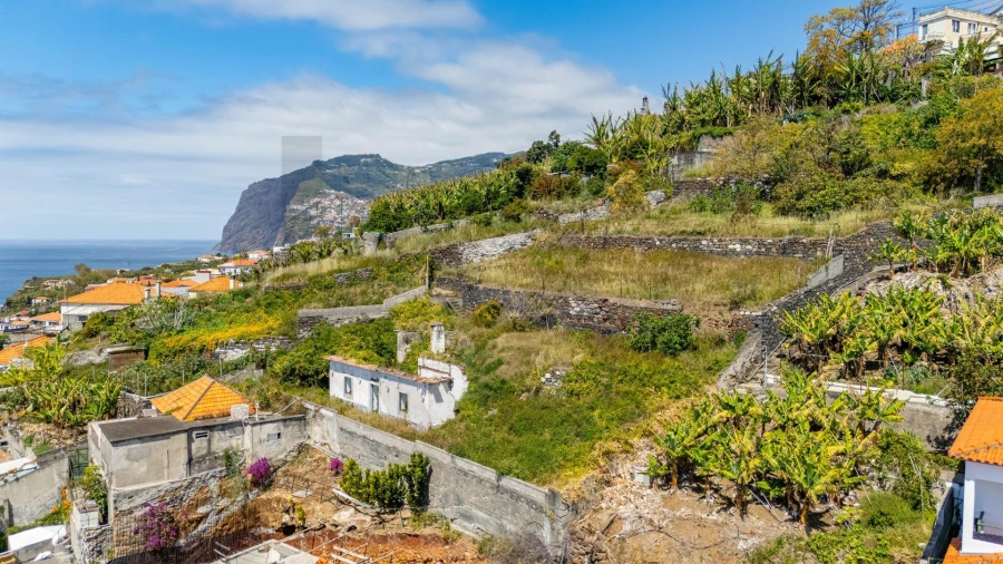Terreno para Venda em São Martinho Foto 14