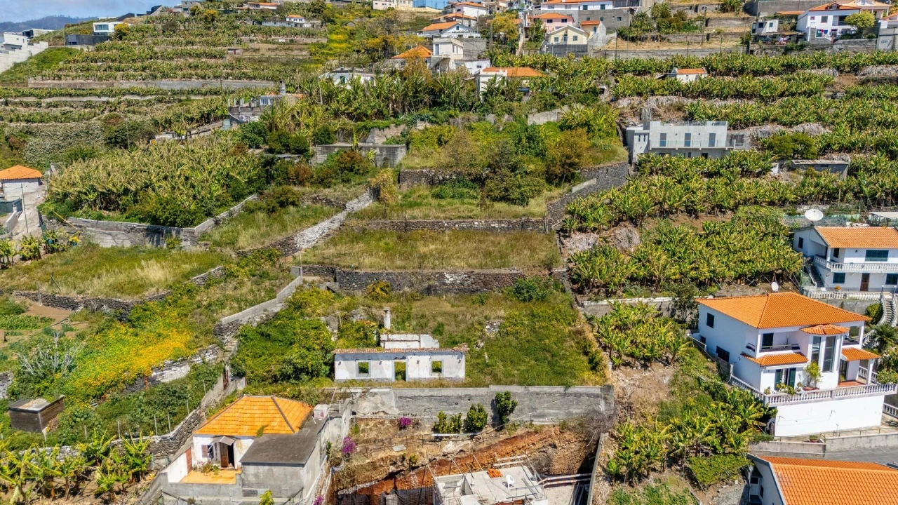 Terreno para Venda em São Martinho Foto 16