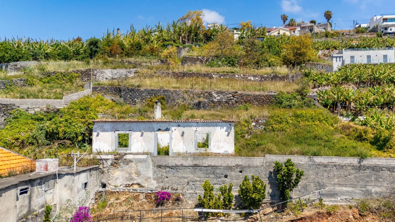 Terreno para Venda em São Martinho Foto 17