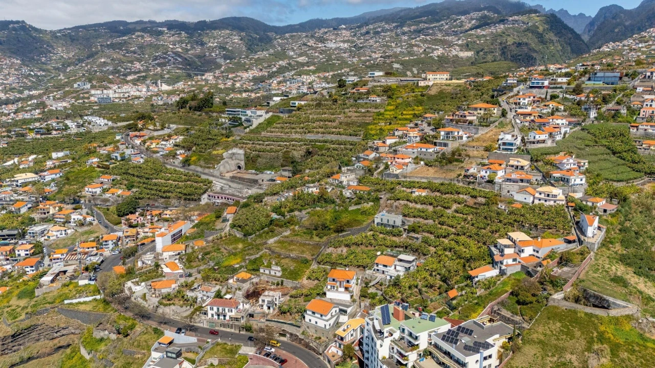 Terreno para Venda em São Martinho Foto 3
