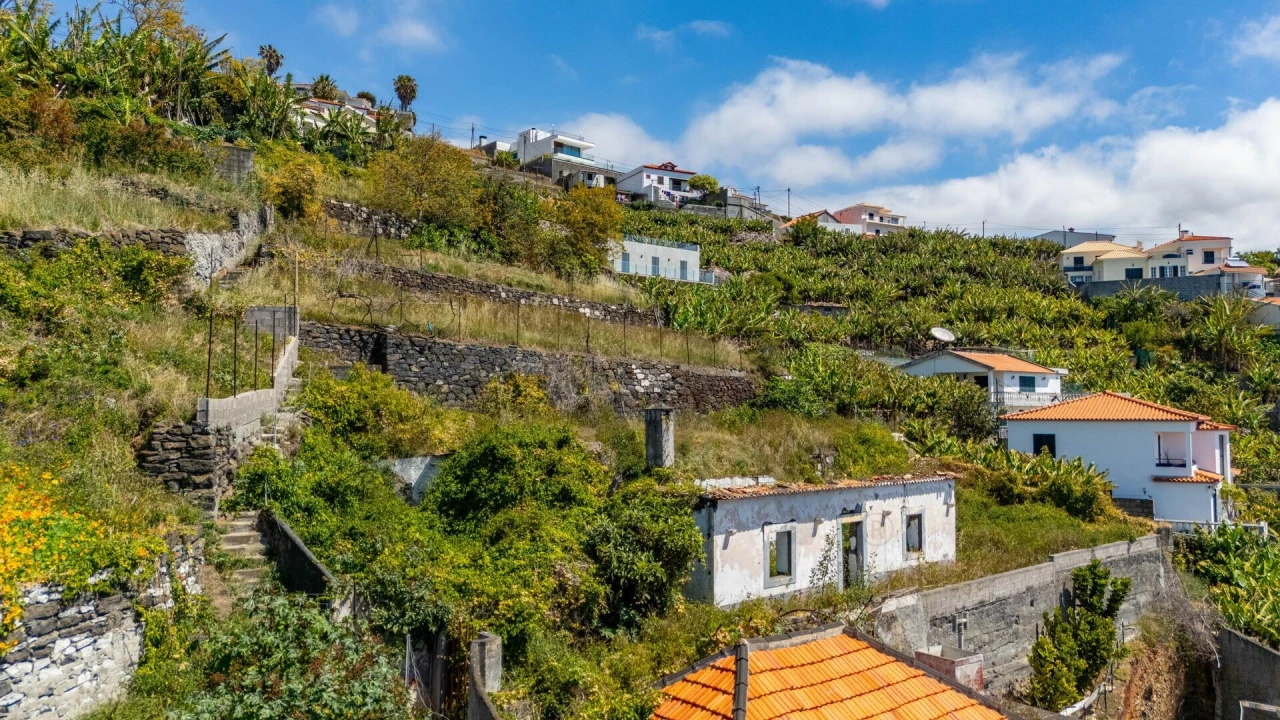 Terreno para Venda em São Martinho Foto 18