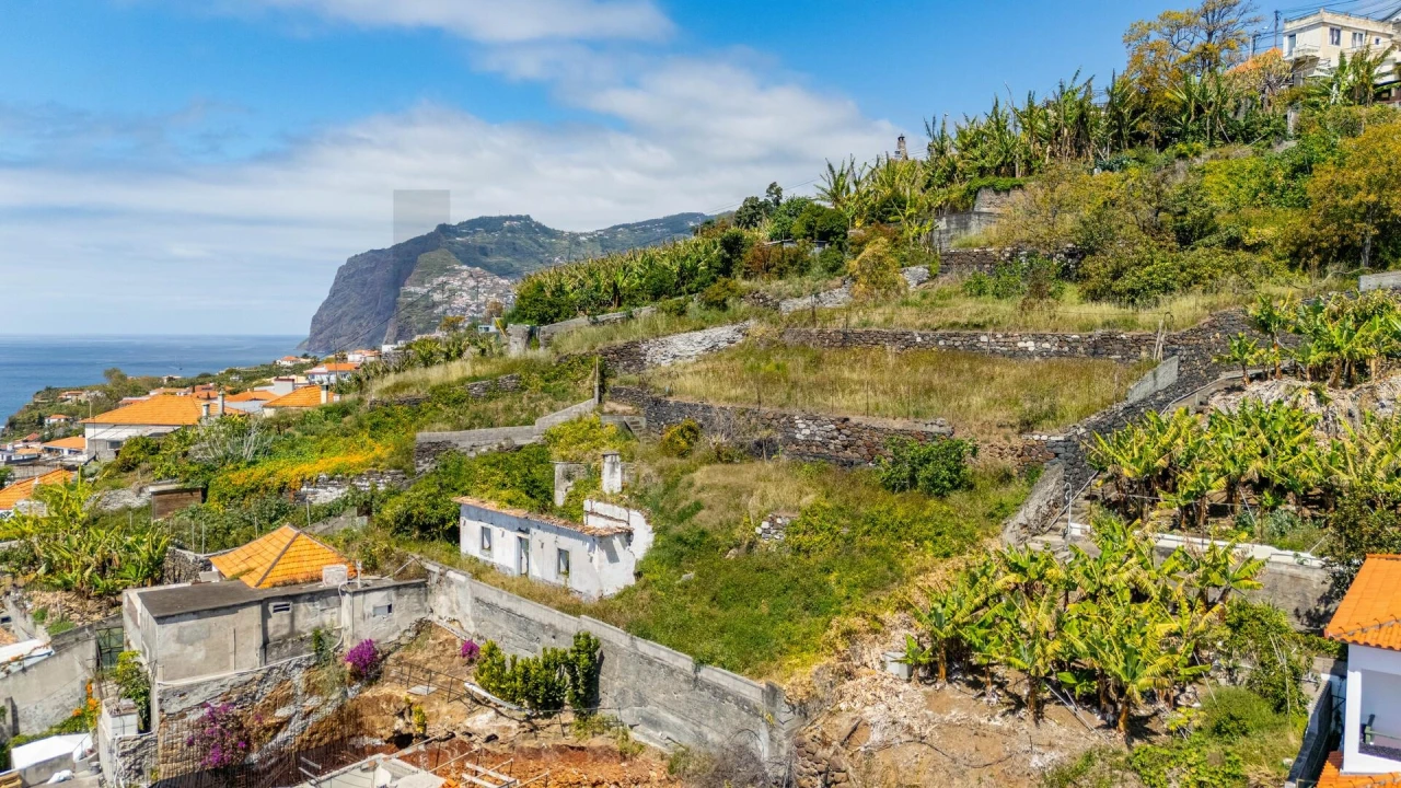 Terreno para Venda em São Martinho Foto 14