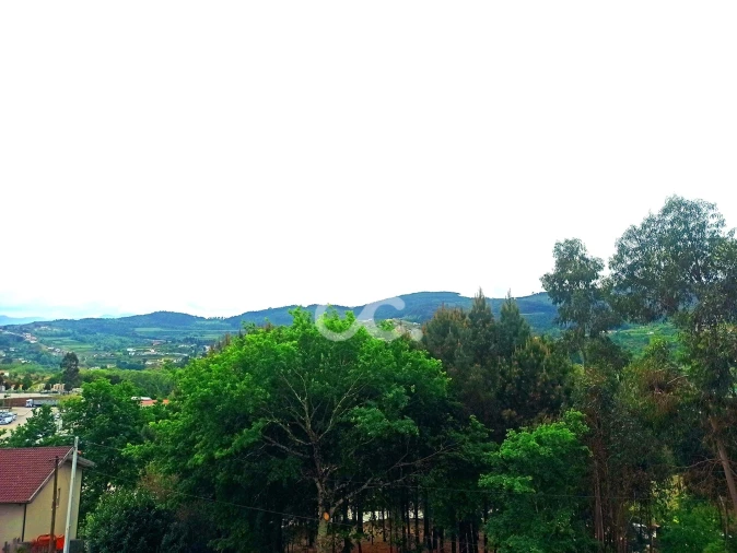 Moradia T3 para Venda em Basto Foto 54