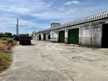 Quinta T7 para Venda em Moreira