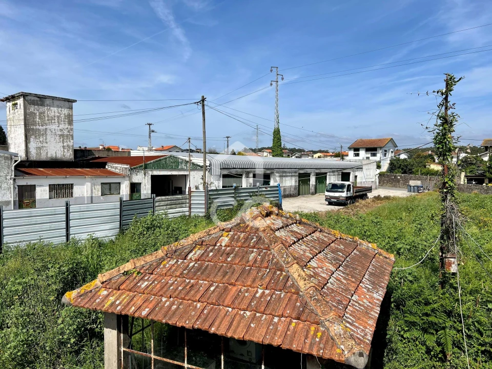 Quinta T7 para Venda em Moreira Foto 22