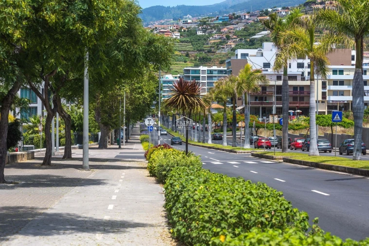 Apartamento T2 para Venda em São Martinho Foto 45