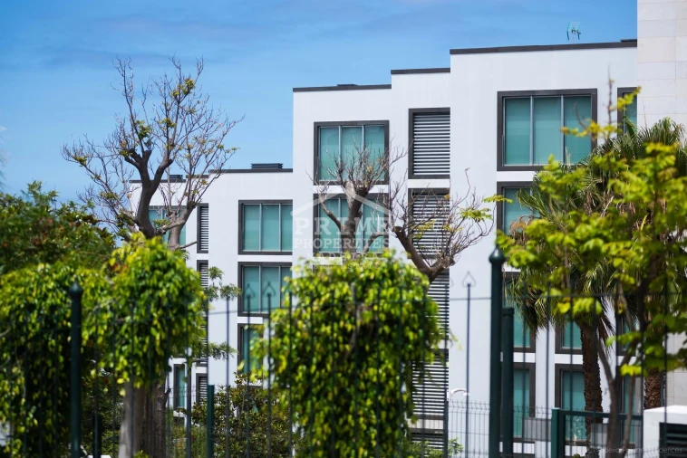 Apartamento T2 para Venda em São Martinho Foto 2