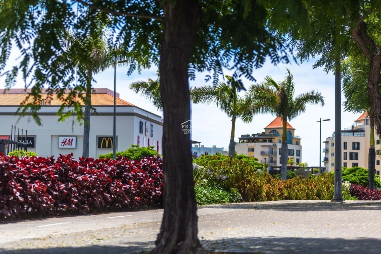 Apartamento T2 para Venda em São Martinho Foto 44
