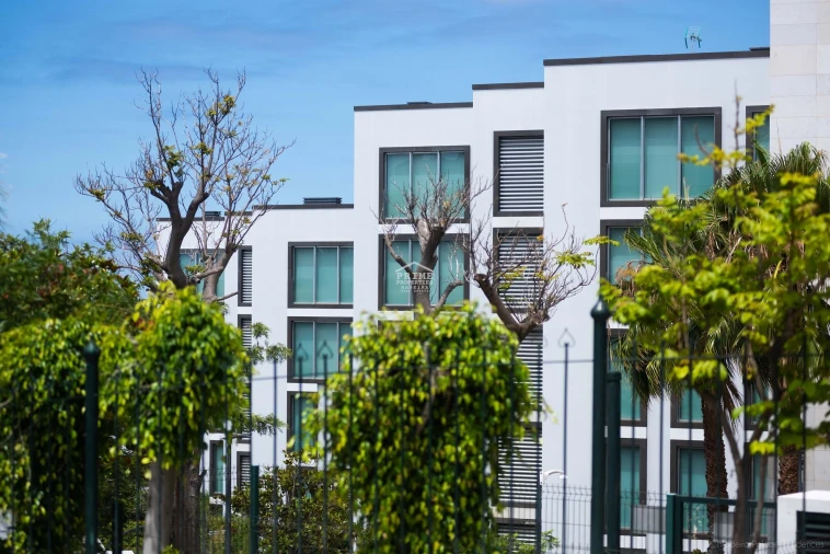 Apartamento T2 para Venda em São Martinho Foto 37