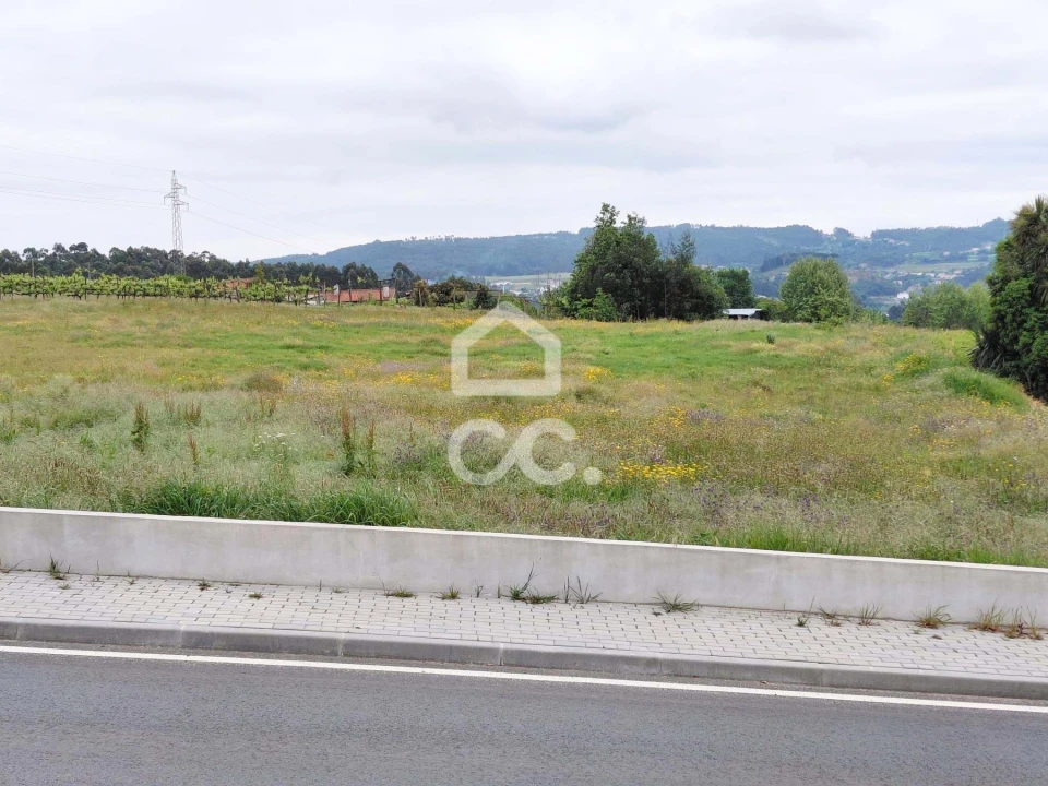 Terreno para Venda em Cristelos, Boim e Ordem Foto 3