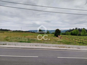 Terreno para Venda em Cristelos, Boim e Ordem