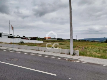 Terreno para Venda em Cristelos, Boim e Ordem