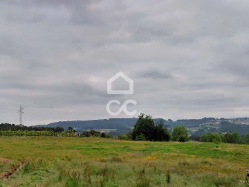 Terreno para Venda em Cristelos, Boim e Ordem