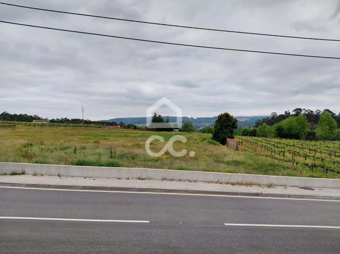 Terreno para Venda em Cristelos, Boim e Ordem Foto 4
