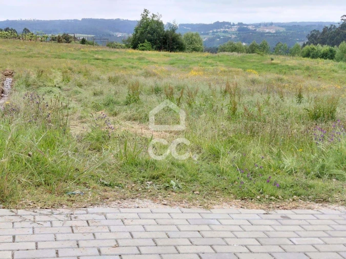 Terreno para Venda em Cristelos, Boim e Ordem Foto 11
