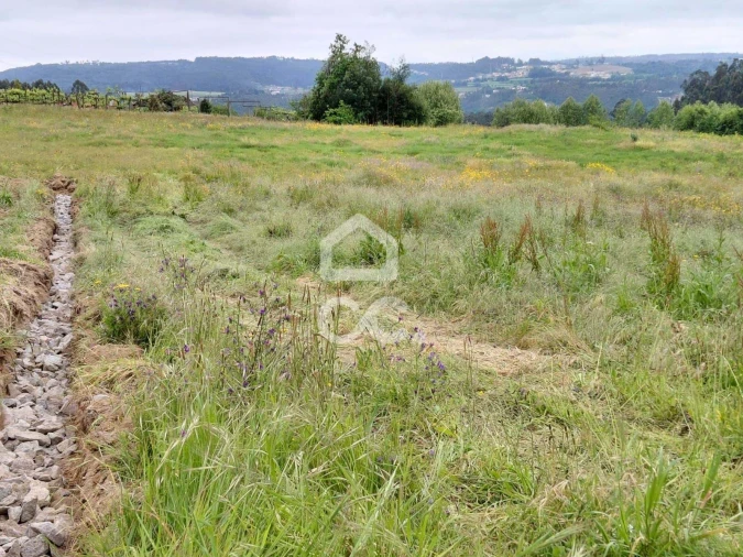 Terreno para Venda em Cristelos, Boim e Ordem Foto 10
