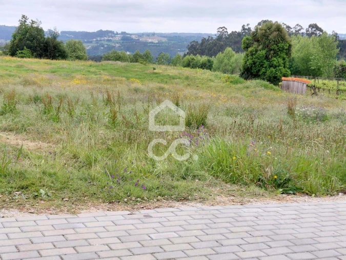 Terreno para Venda em Cristelos, Boim e Ordem Foto 9