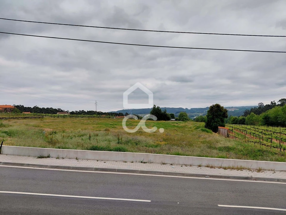 Terreno para Venda em Cristelos, Boim e Ordem Foto 7