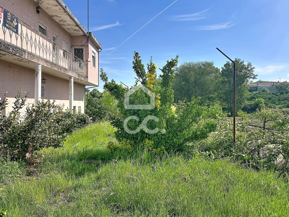 Moradia T3 para Venda em Santa Maria Maior Foto 2