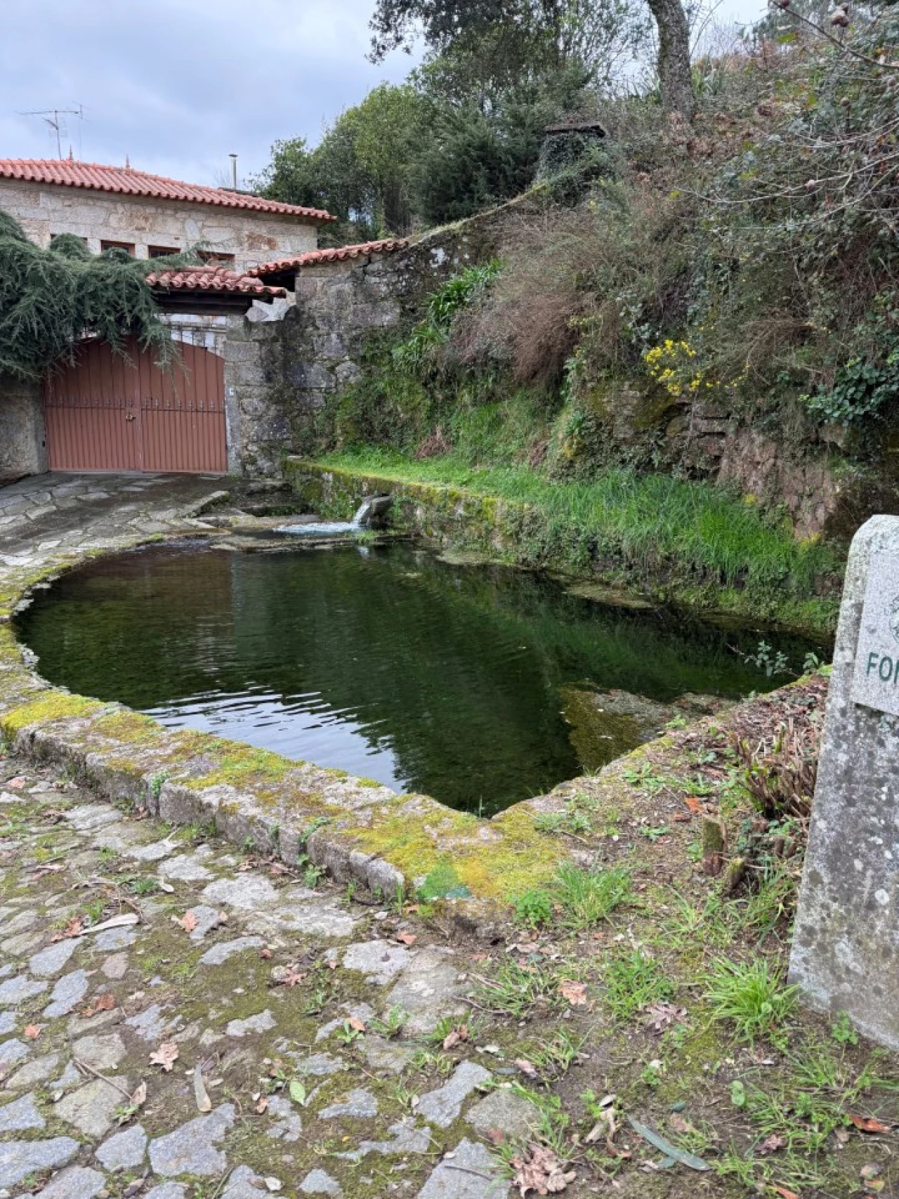 Moradia T3 para Venda em Subportela, Deocriste e Portela Susã Foto 62