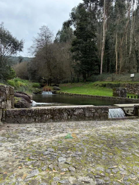 Moradia T3 para Venda em Subportela, Deocriste e Portela Susã