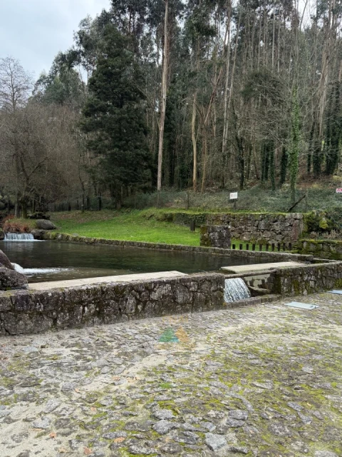 Moradia T3 para Venda em Subportela, Deocriste e Portela Susã