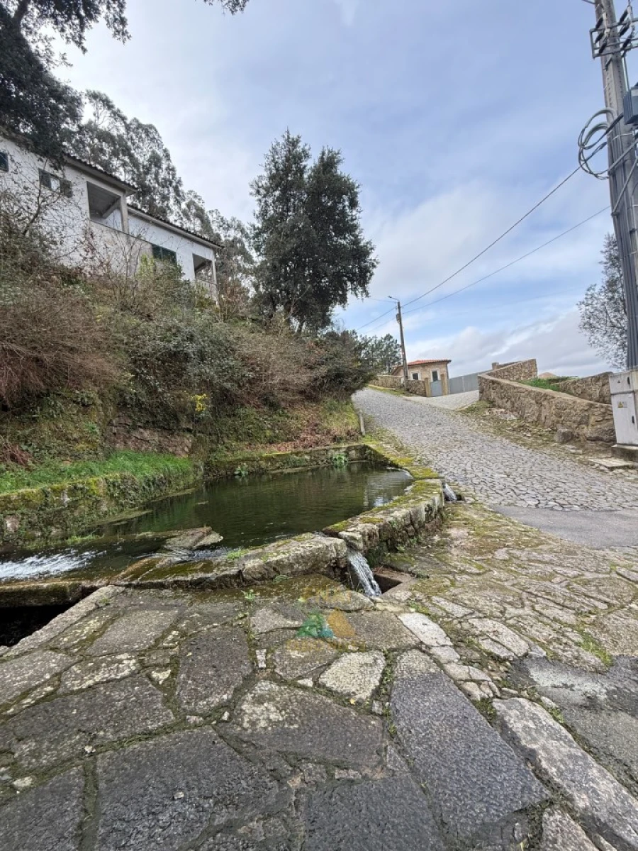 Moradia T3 para Venda em Subportela, Deocriste e Portela Susã Foto 61