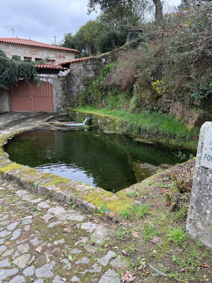 Moradia T3 para Venda em Subportela, Deocriste e Portela Susã Foto 62