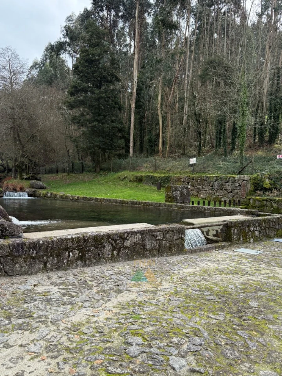 Moradia T3 para Venda em Subportela, Deocriste e Portela Susã Foto 67