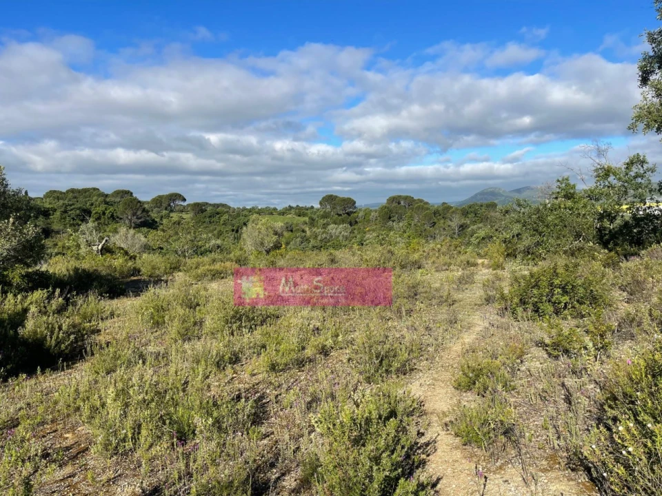 Terreno Misto para Venda em Zibreira Foto 23