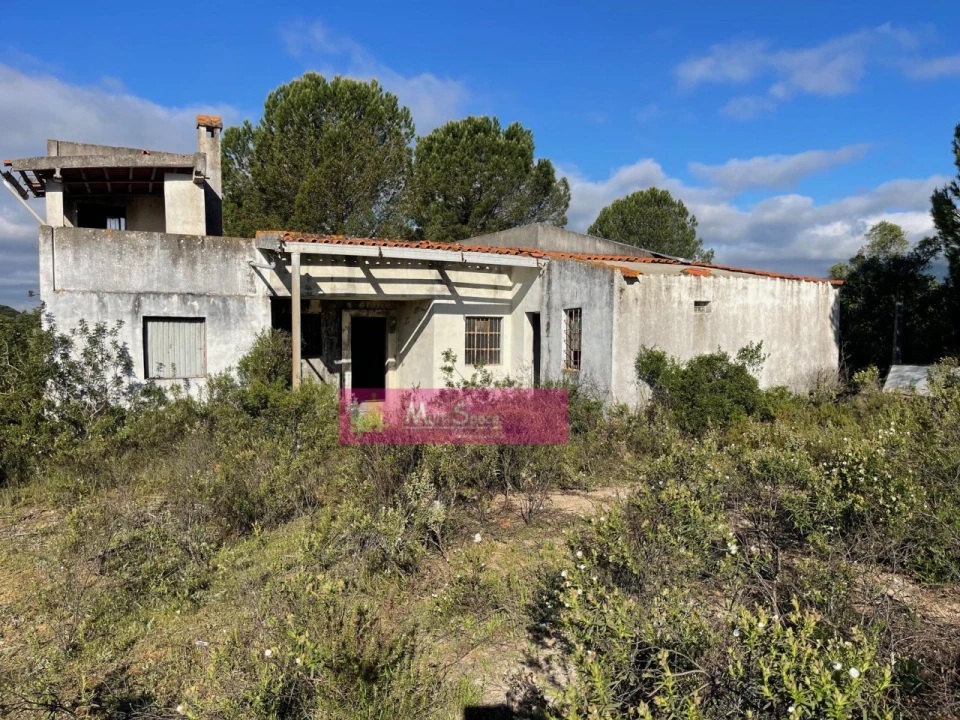 Terreno Misto para Venda em Zibreira Foto 1