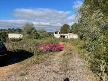Terreno Misto para Venda em Zibreira