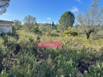 Terreno Misto para Venda em Zibreira