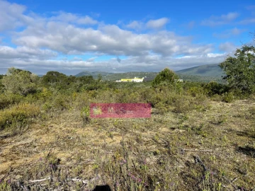 Terreno Misto para Venda em Zibreira