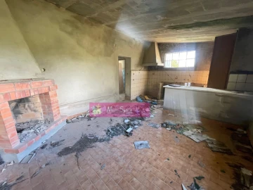 Terreno Misto para Venda em Zibreira